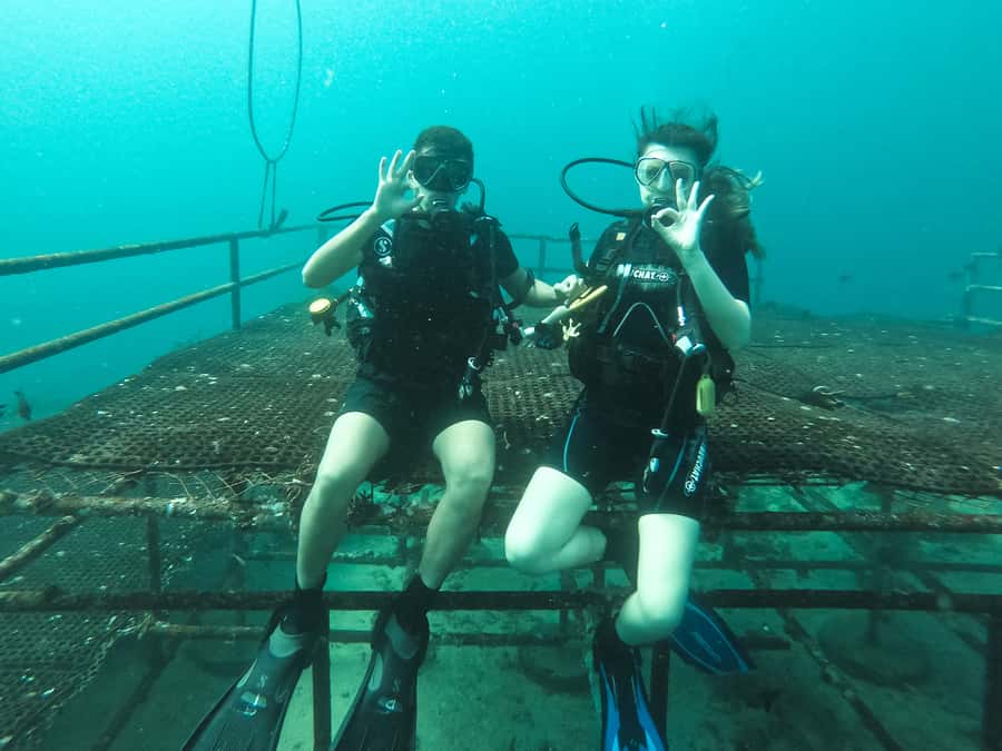 Jeddah: Red sea shore diving (Discovery) - Starting at Bhadur Resort