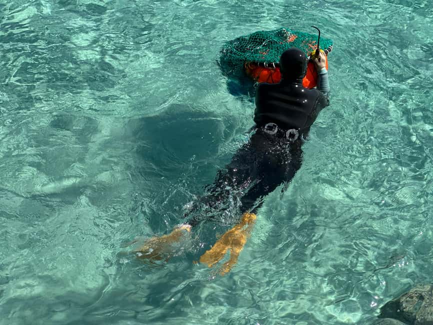 Jeju East: Small Group Healing Tour w/Woman Divers Show - Why this eastern Jeju day works