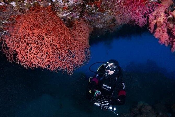 Journey of Diving or Snorkelling from a Boat - Setting out from Ayla 5 Marina