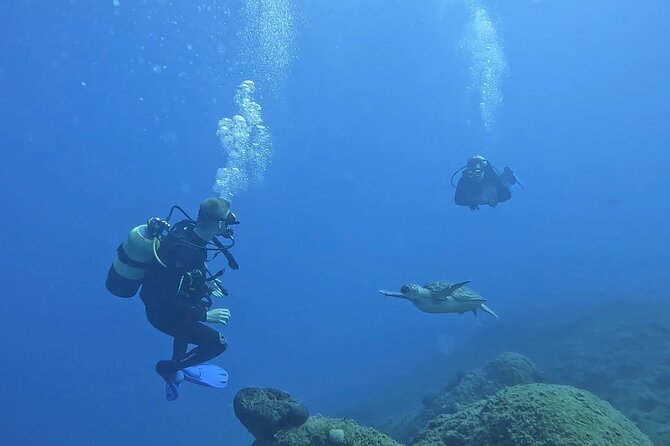 Jubilee Shoals guided boat dives - Choosing between 16 meters and 50-plus