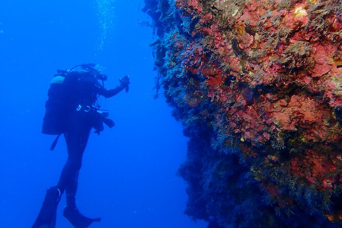 Jubilee Shoals guided boat dives - What the price includes in practical terms