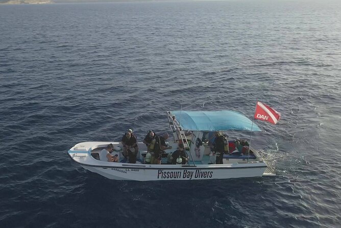 Jubilee Shoals guided boat dives - Who will get the most from this trip