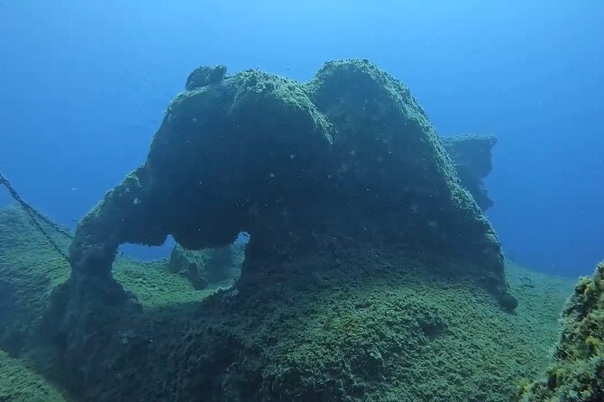 Jubilee Shoals guided boat dives - Weather, cancellations, and planning ahead
