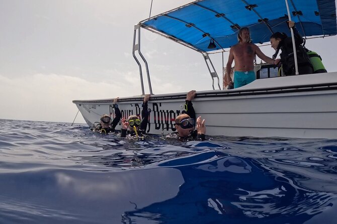 Jubilee Shoals guided boat dives - A realistic look at the operator
