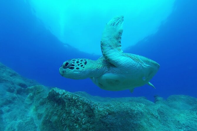 Jubilee Shoals guided boat dives - Should you book the Pissouri boat trip?