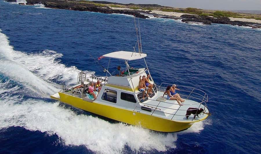 Kailua-Kona: Night Manta Snorkel or Dive - Choosing snorkeling or scuba