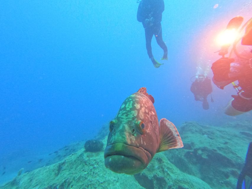 Kas: Scuba Diving Experience - Options for certified scuba participants