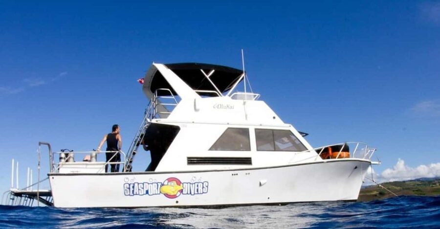 Kauai: 2 Tank Afternoon Dive - Key points to know before booking