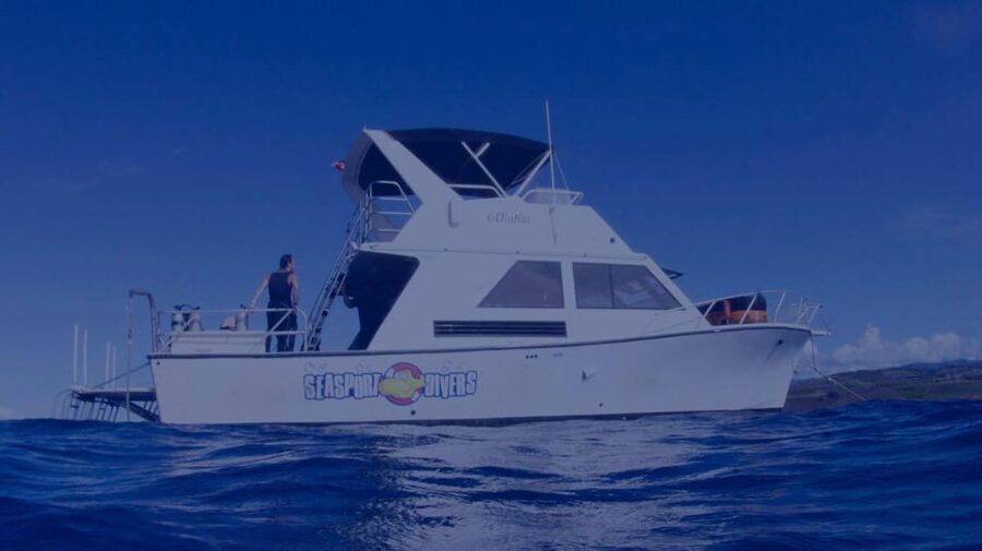 Kauai: Morning 2 Tank Boat Dive for Experienced Divers - Drift conditions and the feel of the ocean