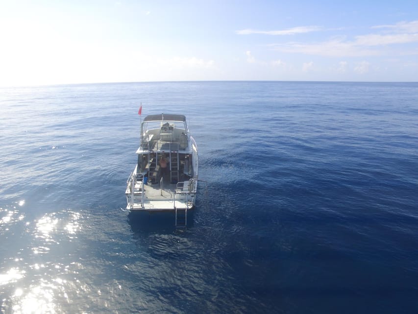 Kauai: Morning 2 Tank Boat Dive for Experienced Divers - Who will get the most from this outing