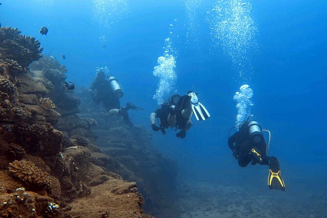 Kauai's Exclusive Morning Scuba Charter for Experienced Divers - Lava tubes, turtles, and the Sheraton Caverns possibility