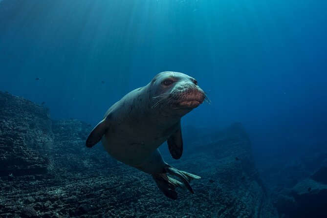 Kauai's Exclusive Morning Scuba Charter for Experienced Divers - The practical comfort of a morning boat