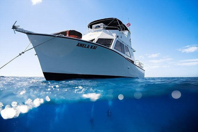 Kauai's Exclusive Morning Scuba Charter for Experienced Divers - Spouting Horn and the south shore setting