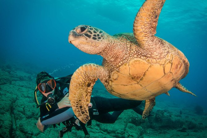 Kauai's Ultimate Discover Scuba Dive - OCEAN EXPERIENCE (1 Tank Dive) - What happens at Koloa Landing