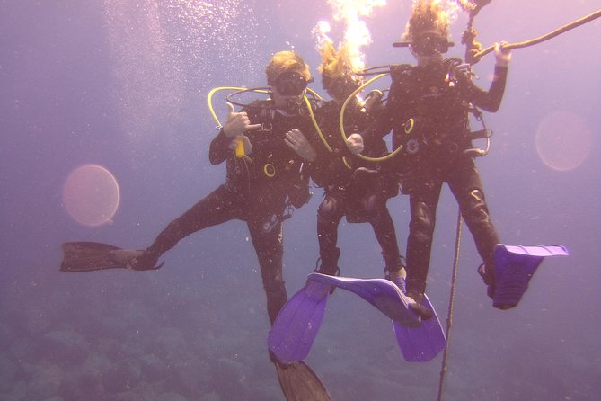 Kauai's Ultimate Discover Scuba Dive - OCEAN EXPERIENCE (1 Tank Dive) - The first-timer experience