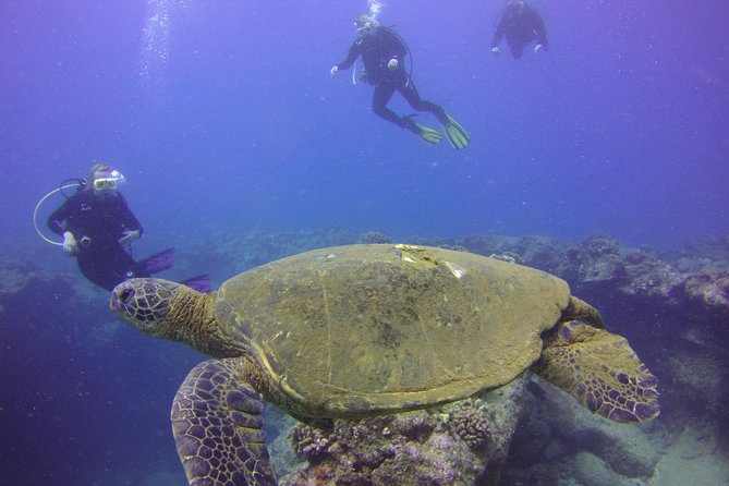 Kauai's Ultimate Discover Scuba Dive - OCEAN EXPERIENCE (1 Tank Dive) - Medical forms and the flight rule