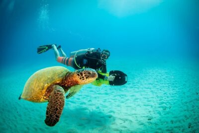 Kauai’s Ultimate Scooter Adventure 2 Tank Dive (Advance Certified Divers Only)