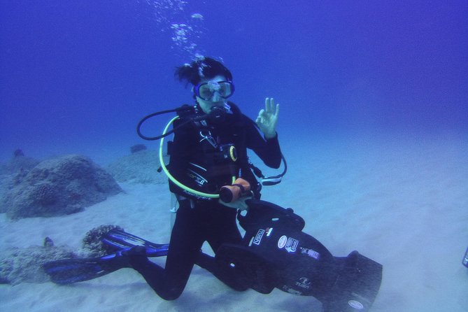 Kauai's Ultimate Scooter Adventure 2 Tank Dive (Advance Certified Divers Only) - Expect tropical water and familiar Hawaiian wildlife