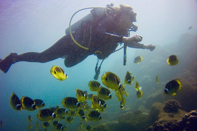 Kauai's Ultimate South Shore 2 Tank Dive (Certified Divers Only) - Guides, equipment, and the level of support