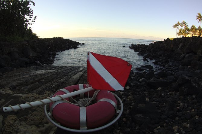 Kauai's Ultimate South Shore 2 Tank Dive (Certified Divers Only) - Should you book it?