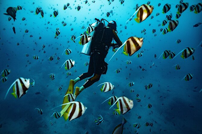 Kauai Scuba Diving for Beginners - Key points to know before booking
