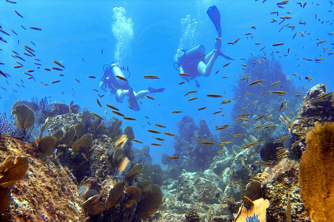 Kauai Scuba Diving for Beginners - What the four-and-a-half-hour schedule feels like