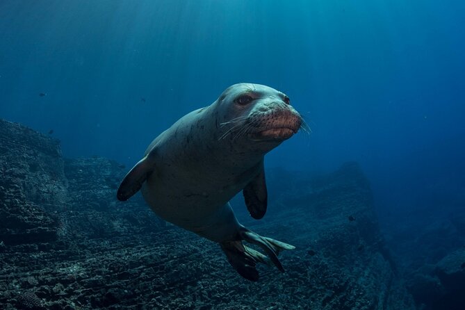 Kauai Scuba Diving for Beginners - Is the $202.75 price fair?