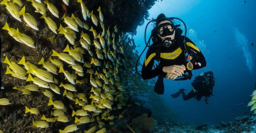 Kefalonia: Beginner Scuba Diving at Agia Efimia Village - What the Agia Efimia session actually involves