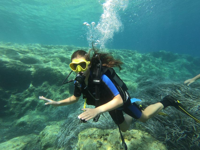 Kefalonia: Beginner Scuba Diving at Agia Efimia Village - Practical details that can affect your day