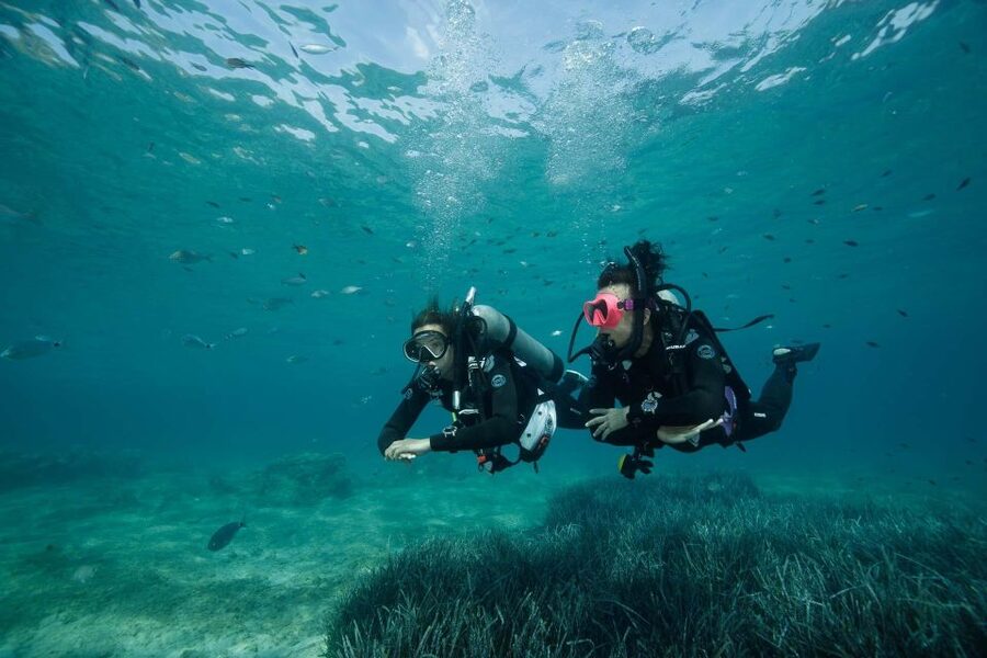 Kefalonia: Beginner Scuba Diving at Agia Efimia Village - About one hour among fish and marine life