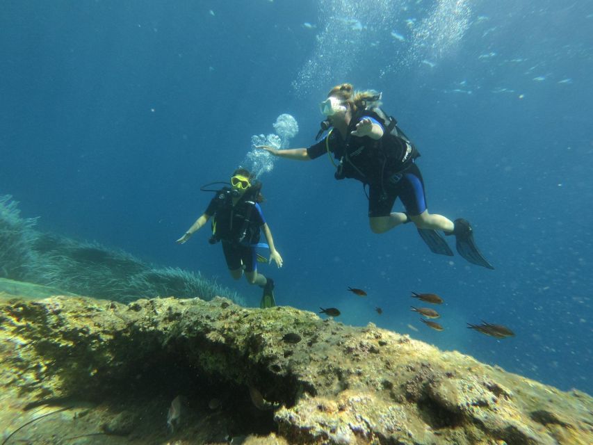 Kefalonia: Beginner Scuba Diving at Agia Efimia Village - Why beginners often need calm guidance