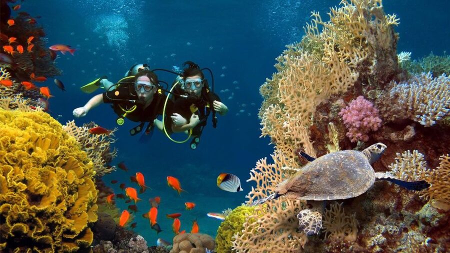 Kefalonia: Beginner Scuba Diving at Agia Efimia Village - Is $141 a fair price?