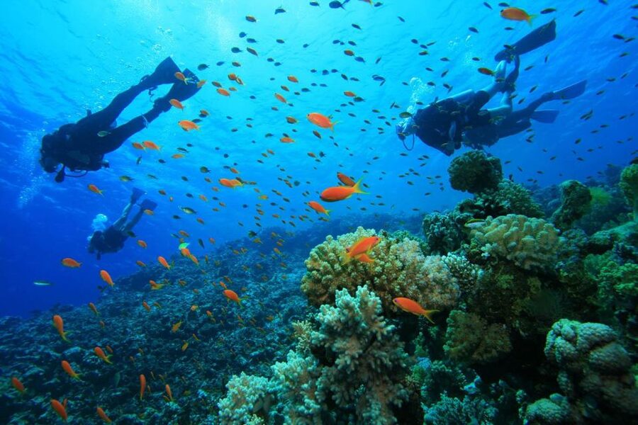 Kefalonia: Beginner Scuba Diving at Agia Efimia Village - Who will enjoy this most
