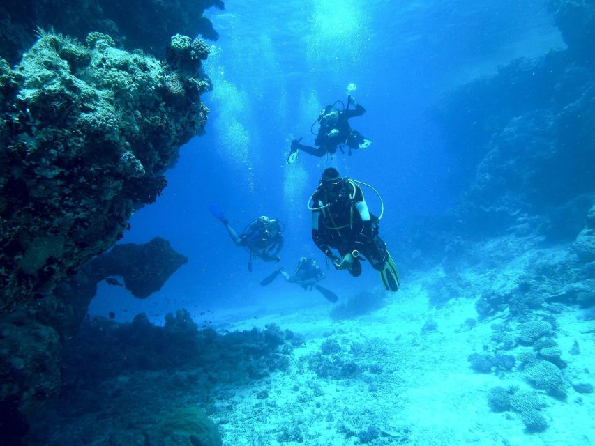 Kefalonia: Beginner Scuba Diving at Agia Efimia Village - How this compares with a full Open Water course