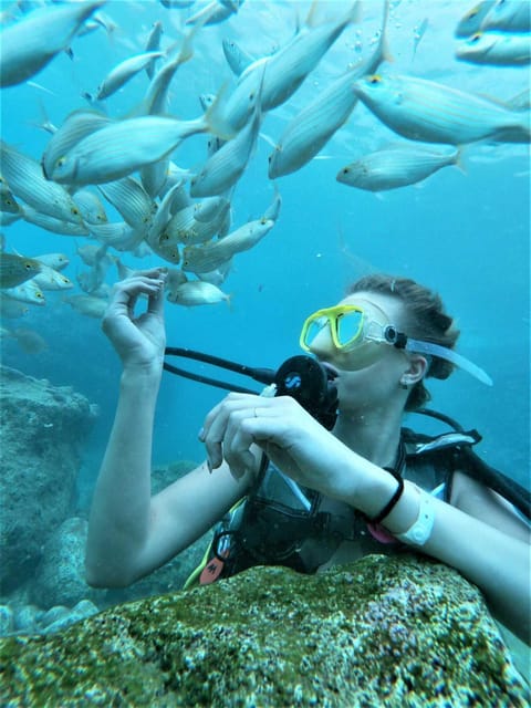Kemer: Scuba Diving Experience in Aquarium and Kiris Bays - Key points to know before booking