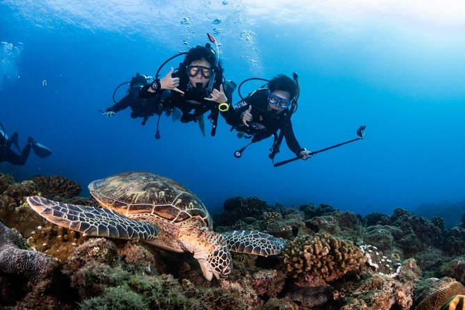 Kenting, Taiwan｜PADI Basic Diving License Course｜Taiwan Diving Open Water Course - English instruction and the coaching style