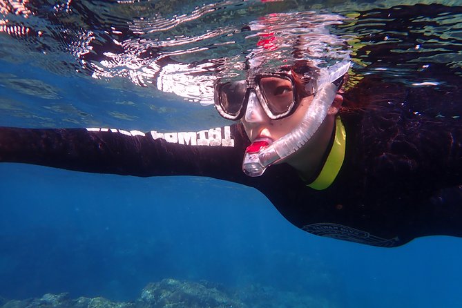 Kenting, Taiwan｜Snorkeling Free underwater photography One-on-one with instructor｜Taiwan Diving Snorkeling - Start at Taiwan Dive Center in Hengchun