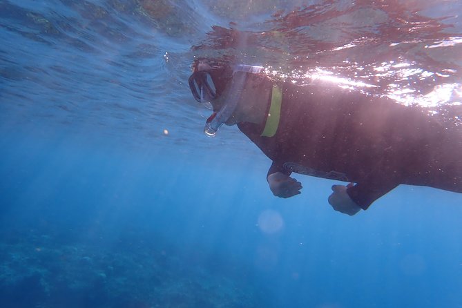 Kenting, Taiwan｜Snorkeling Free underwater photography One-on-one with instructor｜Taiwan Diving Snorkeling - Underwater photographs without carrying your own camera