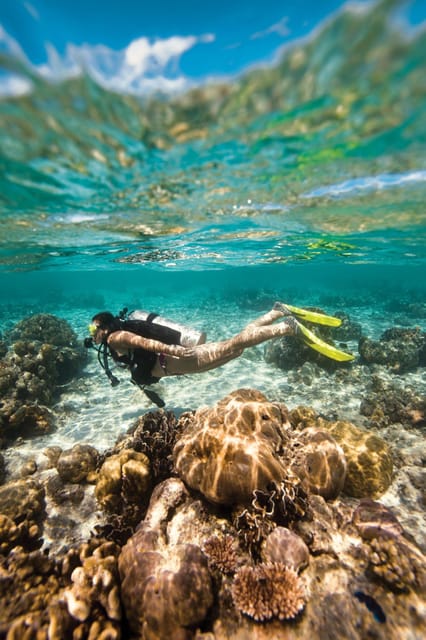 Key Largo: Molasses Reef Novice to Intermediate Dive - Two Tank Trips Around a Classic Reef