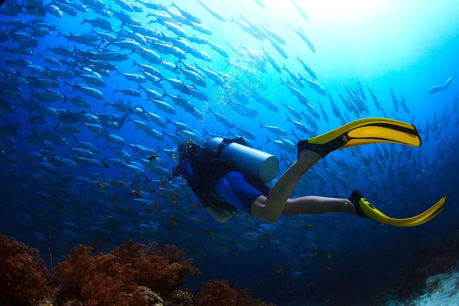 Ko Tao: Try Scuba Diving 1-Day Experience - 9:30 AM at Sairee Beach, fitting equipment and learning the basics