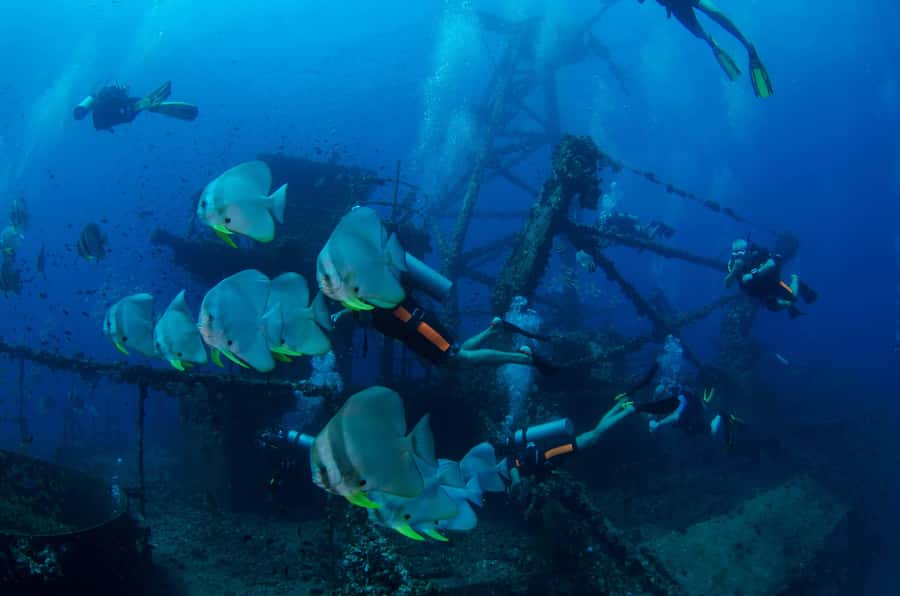 Koh Chang: 1-Day Dive Trip to Top Underwater Sites - A full day that works for mixed-ability groups