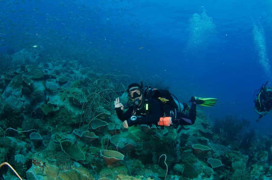 Koh Chang: 3-Day PADI Open Water Scuba Dive Course - Key points to know before booking