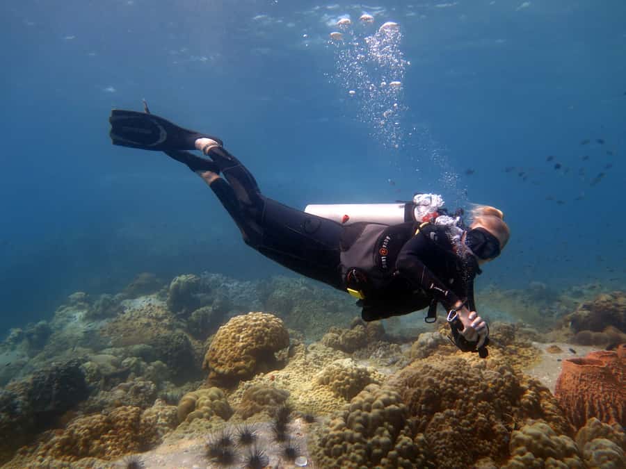 Koh Chang: 3-Day PADI Open Water Scuba Dive Course - Day one: online theory review and pool training