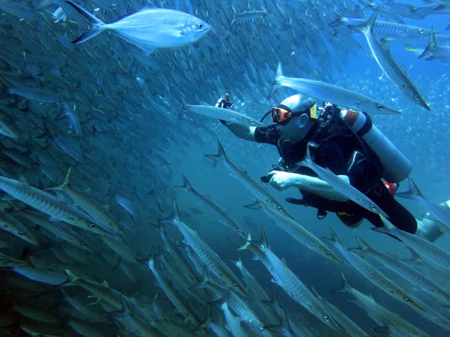 Koh Kood: Discover Scuba Diving for Beginners with 2 Dives - A first taste of scuba around Koh Kood