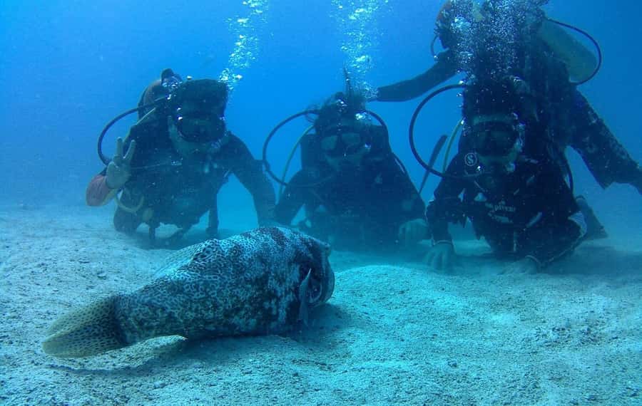 Koh Kood: Discover Scuba Diving for Beginners with 2 Dives - From your Koh Kood hotel to Bang Bao Bay