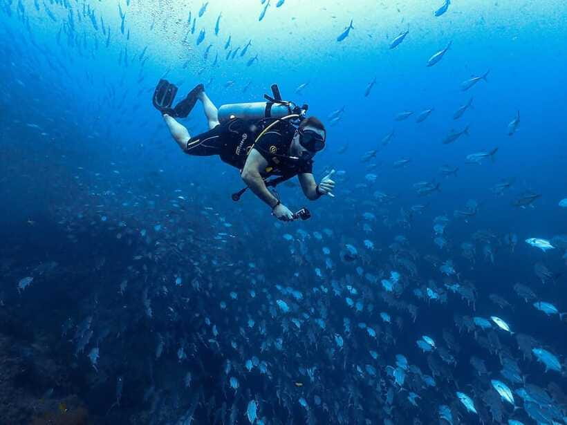 Koh Samui: 3-Day PADI Open Water Diver Course - Lunch, transport, and the $672 price