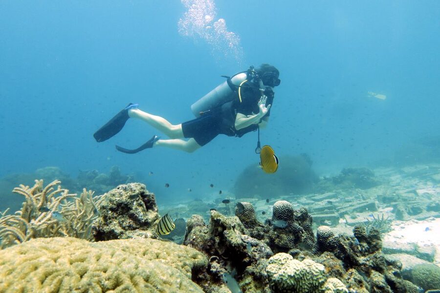 Koh Samui: Day Trip Diving at Sail Rock - Return to Koh Samui and the real length of the day