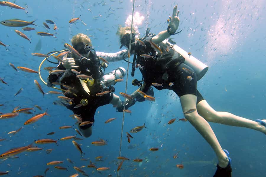 Koh Samui: Discover Scuba Diving - From Koh Samui to Your First Breath Underwater