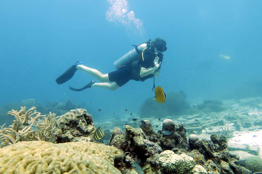 Koh Samui: Discover Scuba Diving - The Price: What $221 Includes
