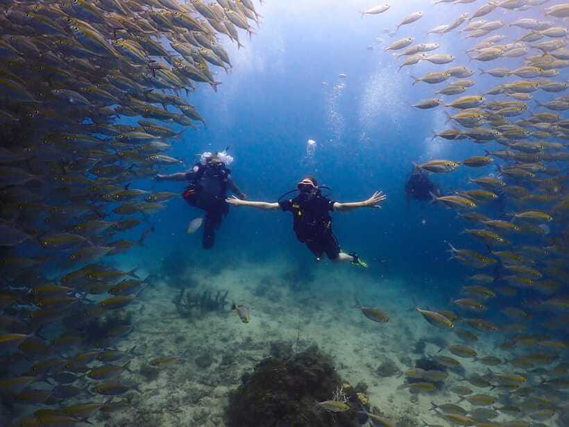 Koh Samui: Discovery Dive to Koh Tao or Sail Rock - Equipment, insurance, and safety limits